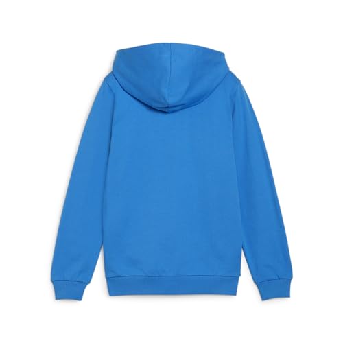 Pull over garçon Puma teamGOAL Casuals Veste à capuche Jr - vue 6