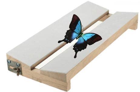 AI-Insect Stretching Board Adjustable/Board Adjustable/used for Entomological Insects/Groove adjustable from 0 to 12mm/with the help of fine fly-nuts/teakwood and finished in spirit polish 1