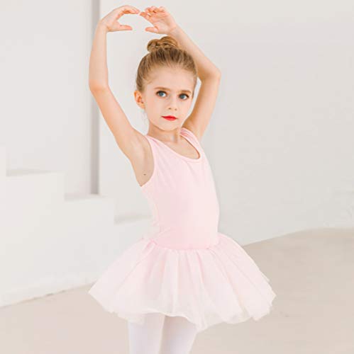 image for STELLE Girls Cute Tutu Dress Ballet Leotard for Dance (Toddler/Little 