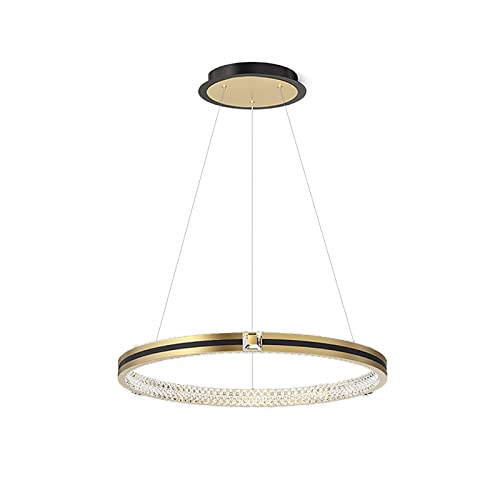 Lustre cercle LED tricolore qui sublime l'éclairage de votre salle à manger