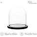 WHOLE HOUSEWARES | Decorative Clear Glass Dome | Cloche Glass Dome for DIY Snow Globes | Tabletop Centerpiece | Cloche Bell Jar Display Case | Black MDF Base, 5.9