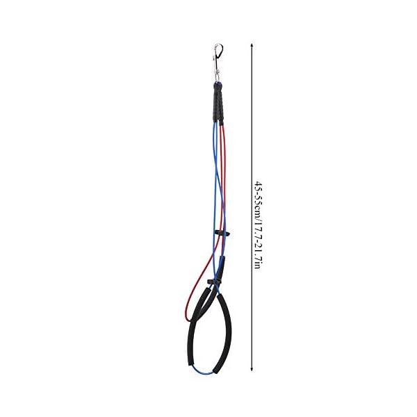 Dog Grooming Loop Adjustable Cable Loop Clips Double Noose Ropes Dogs Cats Table Bath Tub(Large) Dog Grooming Loop Adjustable Cable Loop Clips Double Noose Ropes Dogs Cats Table Bath Tub(Large)