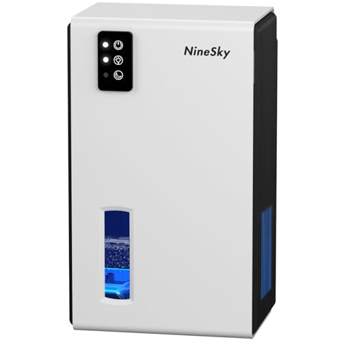 Buy Best Japanese Dehumidifier May 2024