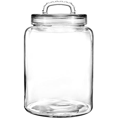 3 Gallon Glass Jar with Airtight Lid Wide Mouth Large Glass Container