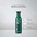 AYUNCHE Rebalancing Shampoo Fresh 6.4 fl. oz. [For Oily Scalp] | Cleanse Excess Sebum & Oiliness | Strengthen and Protect Hair Roots | Anti-Hair Loss and Anti-Thinning Shampoo | Korean Salon Brand