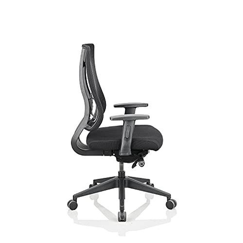 Image of Featherlite X-5 Nylon Medium Back Office Executive Chair with Seat Slide, 3 Way Adjustable Arms, Adjustable Lumbar Support (Black)