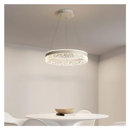 Lampe Suspendue Circulaire LED Dimmable pour Sublimer Votre Salon - 4