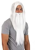 Fun Costumes Costume Kit Merlin Wig and Beard Standard