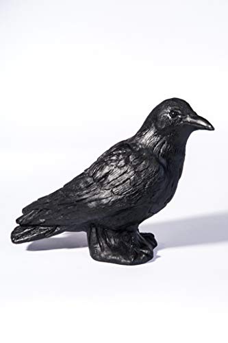 Corbeau Achat Vente De Corbeau Pas Cher