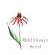 Artway Tree Free Wild Flower Seed Paper Pack - 24 x A4 Blätter -180gsm - Wild Flower Seed Cotton Rag Papier für Kunst und Kunsthandwerk, Wildblumensaatgut