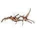 emours Driftwood Branches Reptiles Aquarium Decoration Assorted Size,(5.5-8 inch in Length),4 Pieces (Spider Wood)