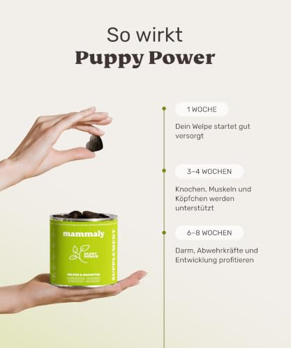 mammaly Puppy Power® Welpen-Komplex mit Grünlippmuschel (bis 60 Tage) – Ansicht 5