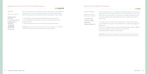 image for Callisto The Big Book of Organic Toddler Food: A Quick and Easy Cookbo