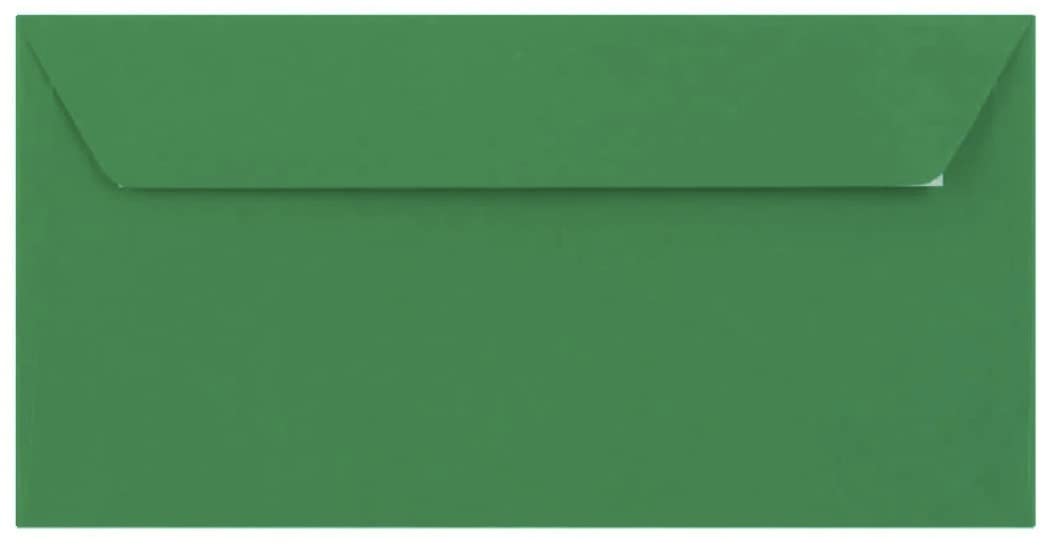 DL Coloured Envelopes for Greeting Cards Wedding Invitations Crafts Business Office 110mm x 220mm