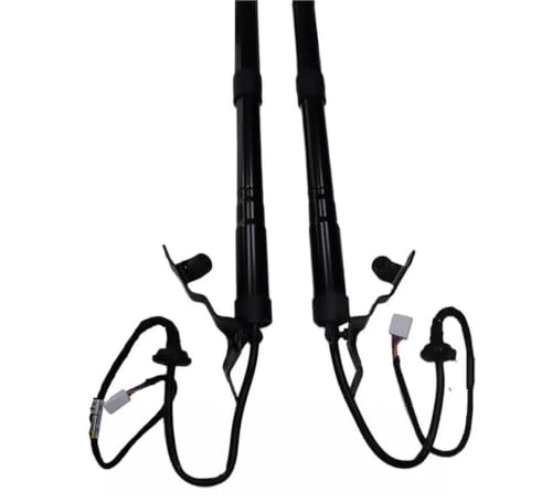 Vérin de hayon électrique 68910-60110 support de levage droit 2021-2024 - 2