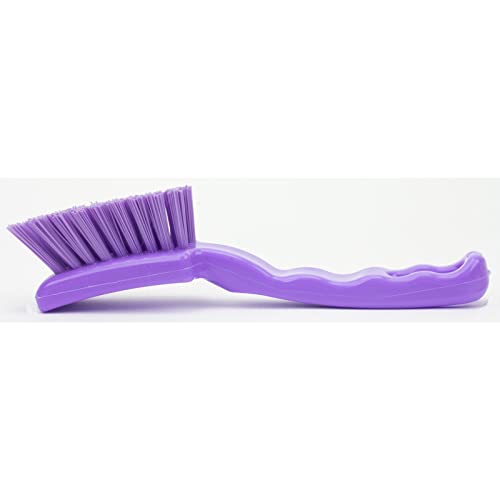 Image of SPARTA 41395EC68 Plastic Scrub Brush, Detail Brush, Kitchen Brush with Hanging Hole for Cleaning, 7 Inches, Purple, (Pack of 6)