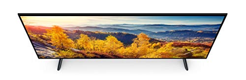 Image of Mi 108 cm (43 Inches) Full HD Android Smart LED TV 4A|4X | L43M5-AI (Black)
