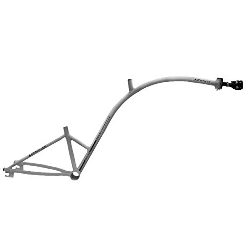 Bike Caroninha Quadro de Reboque Aro 20 Cinza