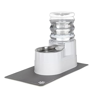 Sfozstra Automatischer Wasserspender 5L