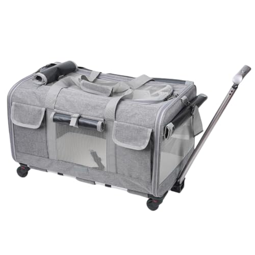 KDBT ܂肽݉\ȃybgJ[g eʁEyʐ݌v lCזԎdl LX^[t LE^p sEɍœK (O[)