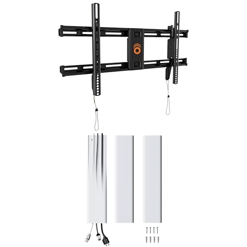 ECHOGEAR TV Wall Mount & Cable Hider Kit - Low