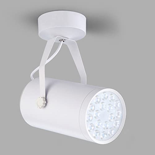Plafonnier LED cylindre downlight plafond intérieur orientable pour boutique - 2