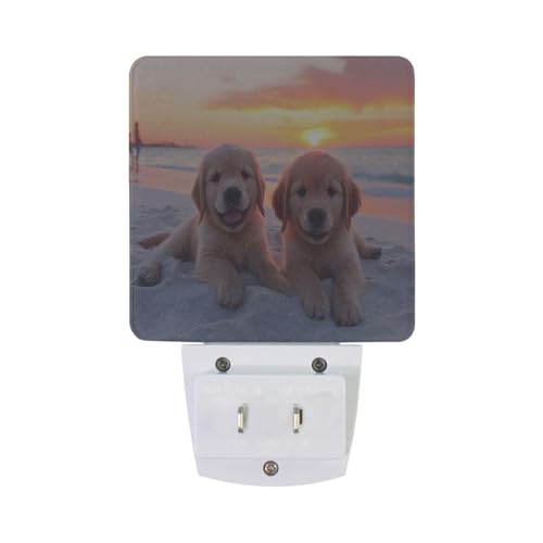Image of Golden Retriever Puppy Dogs Night Lights 2 Pack Plug-in Wall Led Nightlight Auto Dusk-to-Dawn Sensor Lamps for Bedroom Kitchen Bathroom