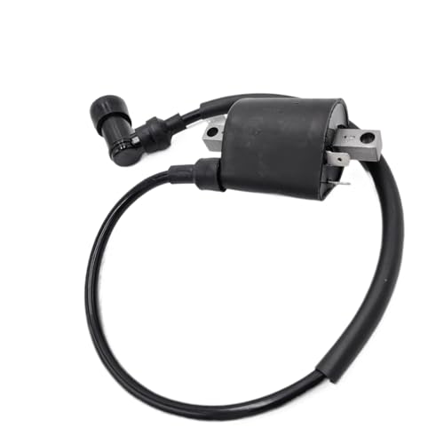 Bobina de encendido 300cc para ATV H300 G300 D300 y repuestos de quad bike 4
