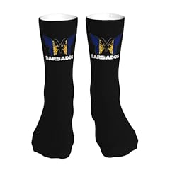 Barbados Flag Butterfly