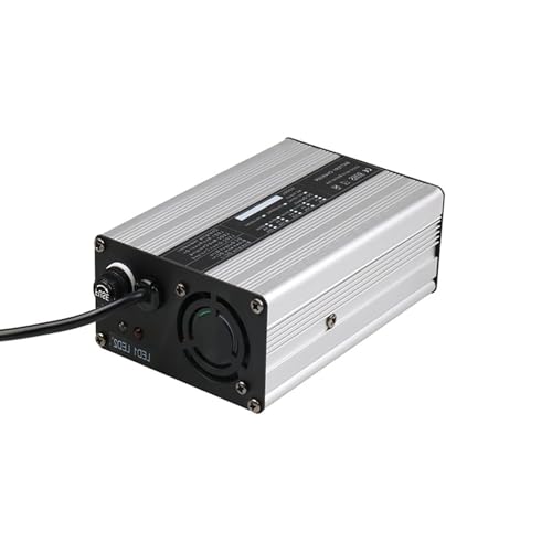 Chargeur batterie au plomb 600W pour réparer les batteries déchargées de balayeuse