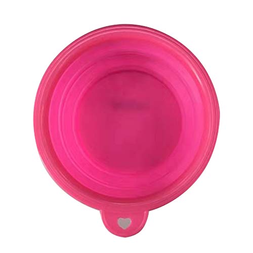Collapsible Dog Bowl, Dog Water Bowls for Cats Dogs, Portable Pet Feeding Watering Dish for Walking Parking Traveling