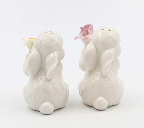 Appletree Designs Cosmos 10588 Salt &Amp Pepper Shaker, 1 3/8&Quot X 2 7/8&Quoth, White #TOP2