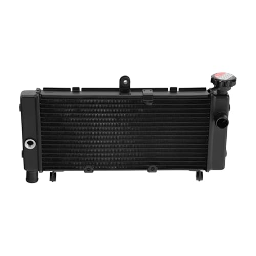 CB600F HORNET 600 1998 1999 2000 2001 2002 2003 2004 2005 2006 oCNp ubN N[ WG[^[