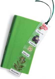 Pressed Flower Bookmark Craft Kit (Makes 25 Projects)