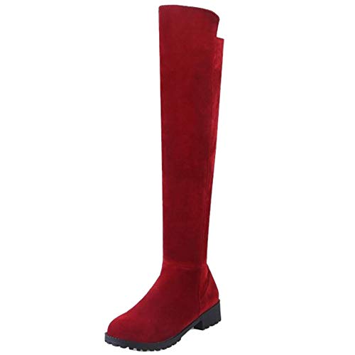 CHICMARK Bottes Habillées pour Femmes Au-Dessus du Genou Cover