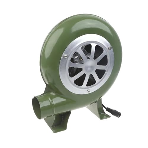 JCKJWL Soplador de aire de alta potencia for barbacoa, 30/40/60/80 W, adaptador de velocidad de soplador de forja pequeña Ventilación eficaz de alta presión(40 watts)