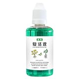 Stimolatore delle radici – Potenziatore della crescita di piante grasse da 50 ml, fertilizzante per piante da interni e soluzione nutritiva per potenziare le radici, supporta un forte sviluppo e fogli