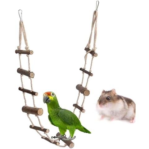 Cyrank Bird Ladder and Swing Toy Cover