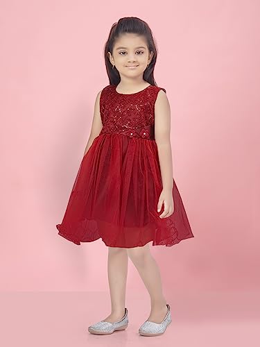Image of Aarika Girls Maroon Color Net Frock