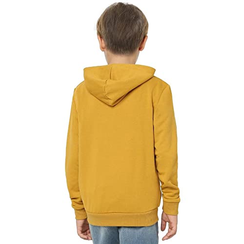 Image of JACK & JONES Boy's Cotton Hooded Neck Sweatshirt