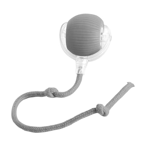 dCL̂ - pY{[AX}[gLeB̂|ދ炷߂ɁALEDCgA[dC^NeBuȂȉ]L̃{[AVѐŜ鉮L̎gp̂߂̃ANeBreB̊y