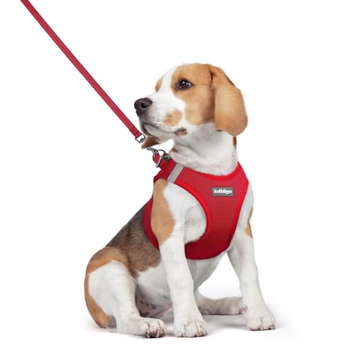 Image of rabbitgoo Dog Harness Medium Sized and Leash Set, Step-in Puppy Pet Vest