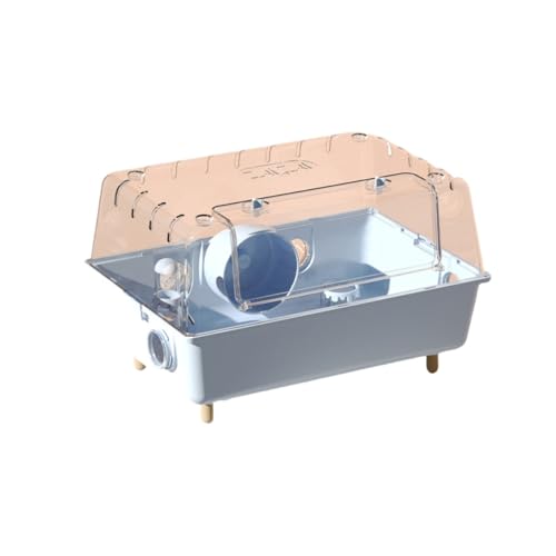 yZixuiznX^[P[W AN NA Eoɂ ^ K ϋv ʂǂ g[fUC P[WI21