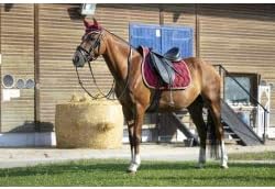 EKKIA (Ekia) 3338025599184 Horse Riding Equipment Gray ET POLYFUN S. PAD DR.F/S DKGREY 204451031, oner Size, Other