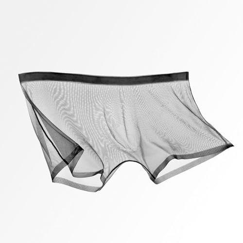 Men's Ice Silk Sexy Mesh Boxer Briefs Ultra-Thin Transparent Breathable Hollow Underwear