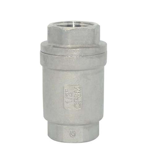 Válvula antiretorno de acero inoxidable H12 para solucionar descebado de bomba 4