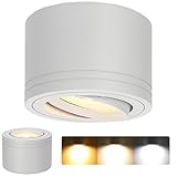 LAMPELIP