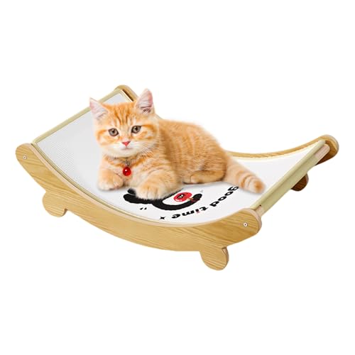 Jouet interactif anti-griffes pour chaton protégeant canapé et meubles