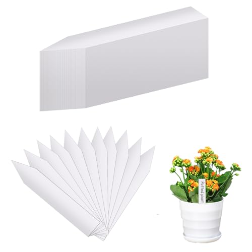 200 Pz Etichette per Piante Esterno, Cartellini per Piante da Esterno, Cartelline Etichette da Giardinaggio in Plastica Impermeabili per Piantine di Erbe Aromatiche Ortaggi Fiori Semi(bianco/10x2cm)