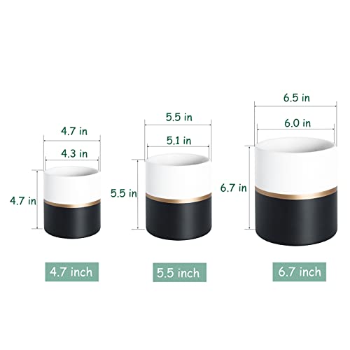Ghitine Plant Pots Indoor 4.7 Inch Ceramic Planters, Matte Flower Pots With Drainage Hole For Home Office Decor (Black, White, With Gold Stripe) #TOP5